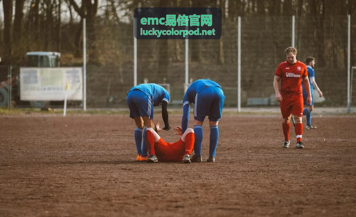 emc易倍 用户体验案例