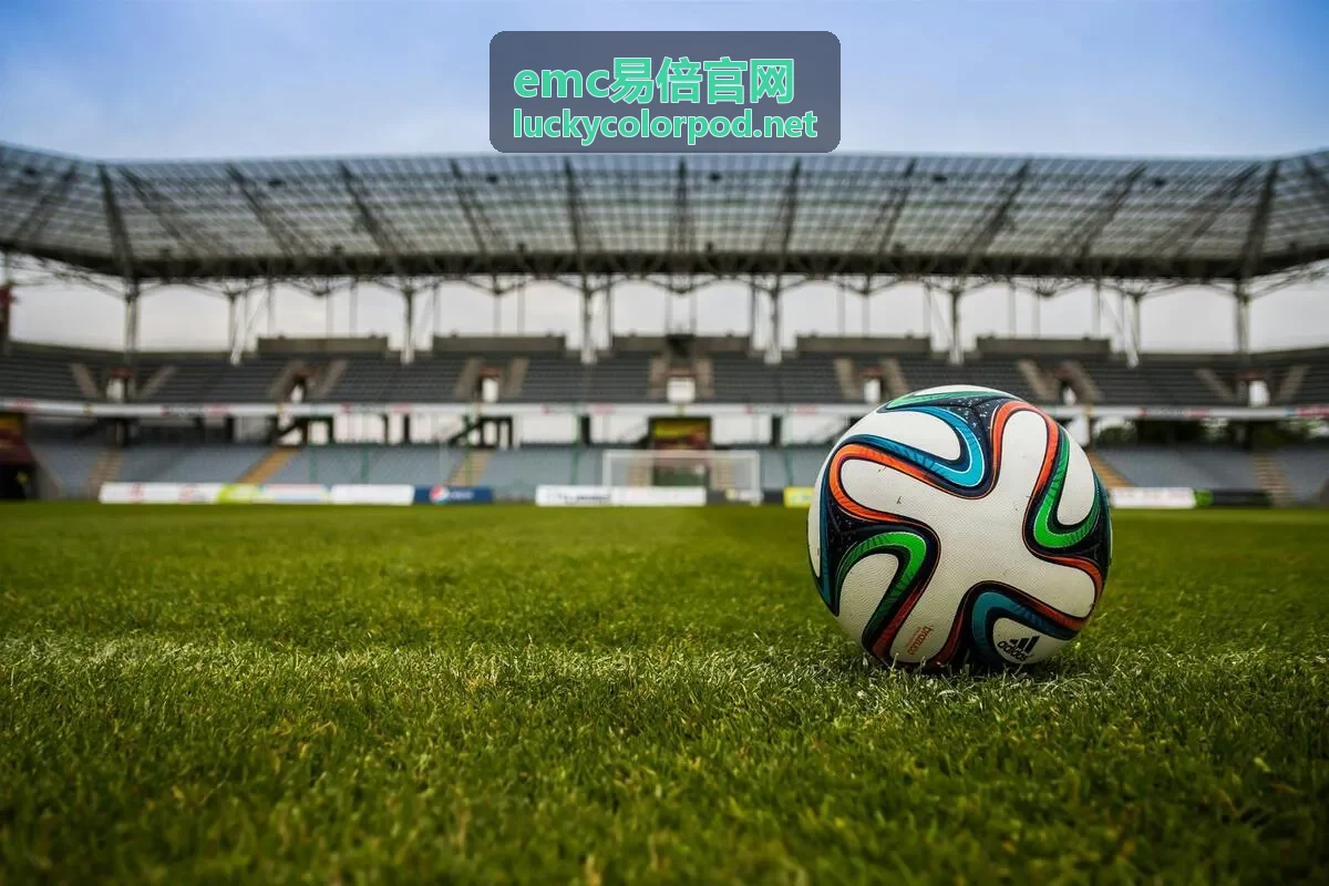 emc易倍官网帮助中心指引服务